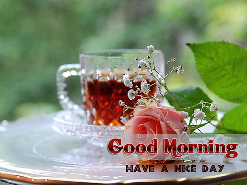 good morning have a nice day Good Morning SMS and Images